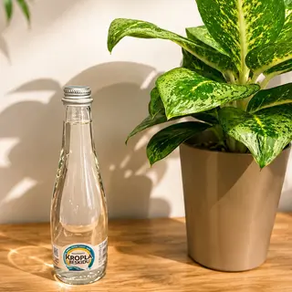 Woda niegazowana 0,350ml