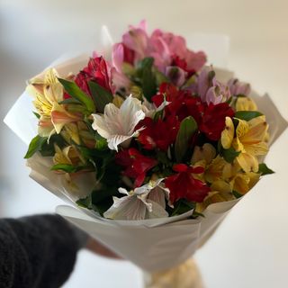 Bukiet mix Alstroemeria
