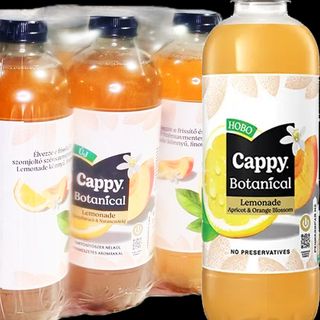 Cappy Lemon Botanical Apricot & Orange Blossom 0,4l