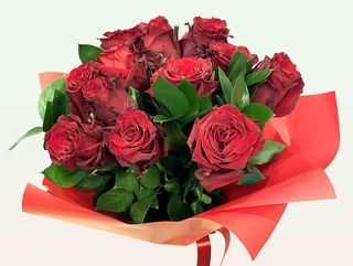 Bukiet czerwonych róż