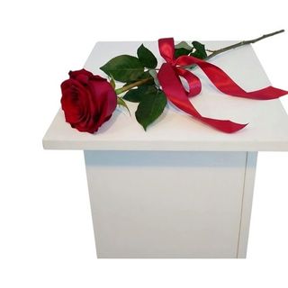 Róża czerwona 1szt. długość 50cm