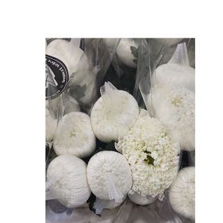 Chryzantemy białe luz 10 szt., (nieoczyszczone) 70 cm, paczka hurtowa