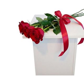 Roże czerwone 3szt. długość 50cm