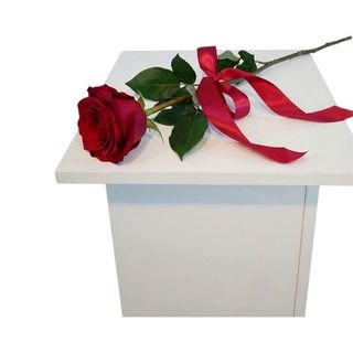 Róża czerwona 1szt. długość 70cm