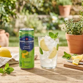 San Pellegrino Limone i Menta 0,33l
