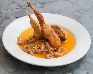 Codorniz