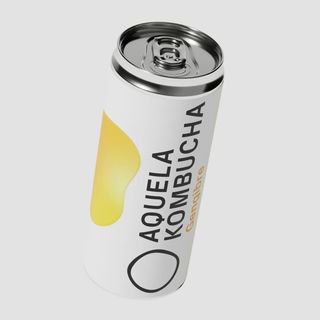 Aquela Kombucha Gengibre 250ml