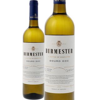 Burmester