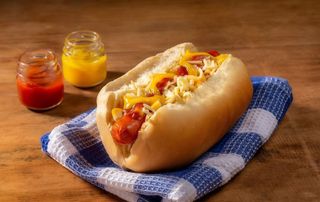 Meio Cachorro Especial