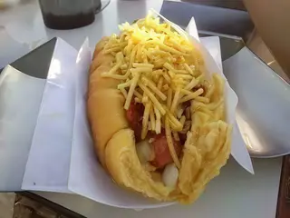 Cachorro Simples