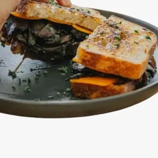 Melt de cogumelos