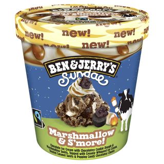 Ben & Jerry's Marshmallow & S'more 465 ml