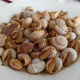 Prato de caracois