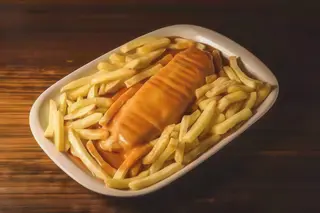Cachorro Especial 