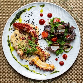 Polvo na Brasa com Puré de Batata, Tomate Seco, Salada e Coulis de Pimento