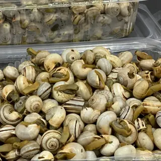 Caracóis