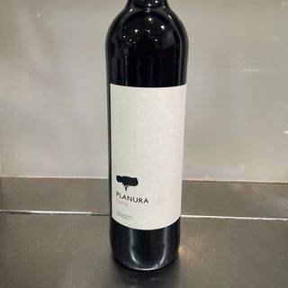 Vinho Tinto Planura 75cl