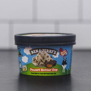 Ben & Jerry's Peanut Butter Cup (100ml)
