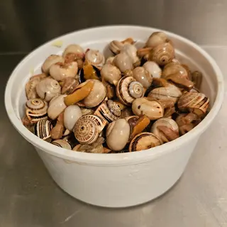Caracóis cx pequena