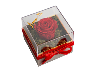 Caixa com rosa preservada