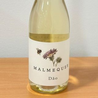 Malmequer (vinho branco)