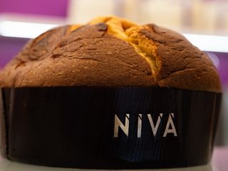 Pannettone Tradicional 900g