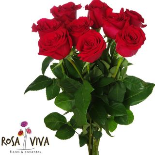 Atado de Rosas