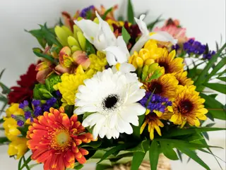 Cores do jardim