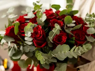 Jardim de Rosas (12 rosas)