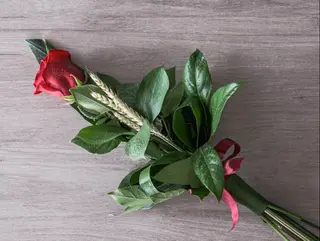 Ramo de rosa (uma rosa)