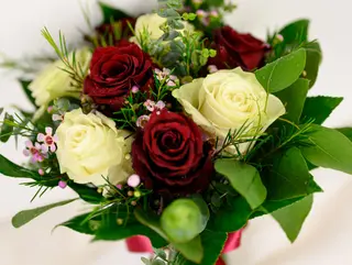 Amor Perfeito (5 rosas)