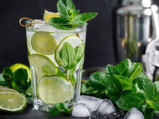 Mojito 1Lt