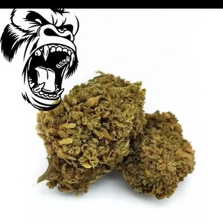 THC-P GORILA FLOR 1GR