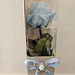 Rosa Preservada Azul Claro