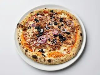 Bolonhesa