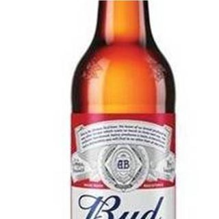 Cerveja Bud