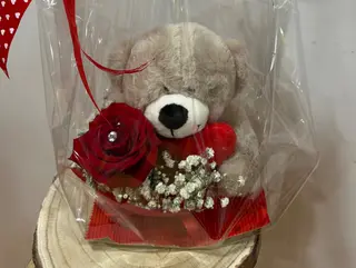 Urso do amor