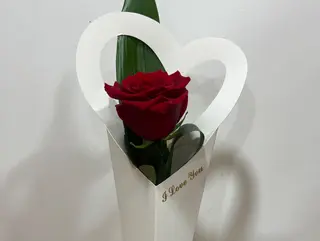 Rosa do amor