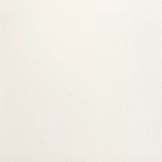 Gambas com Cogumelos