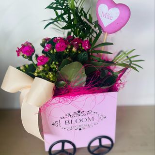 mini-jardim