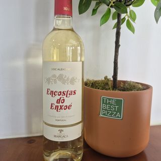Vinho Encostas do Enxoé Branco