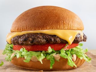 Cheddar Cheese Burger