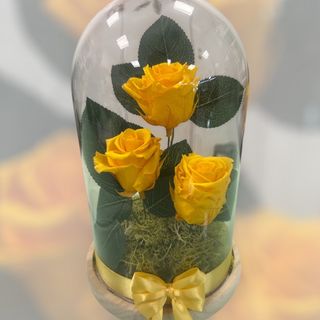 Campânula XL AMARELO