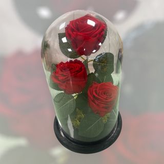 Campânula XL VERMELHA