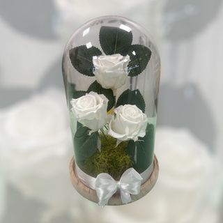 Campânula XL BRANCA 