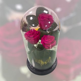 Campânula XL  FUCHIA