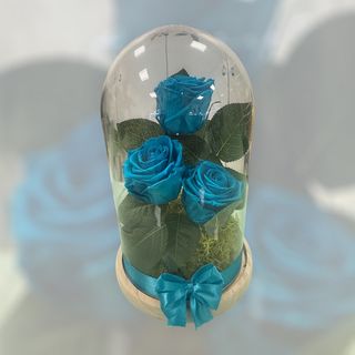 Campânula AZUL TURQUESA 