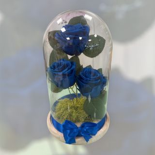 Campânula XL AZULÃO 