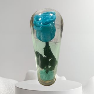 Campânula Alta Azul Turquesa