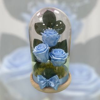 Campânula XL AZUL CLARO 